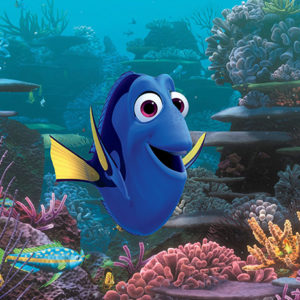 dory