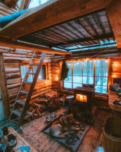 cozy cabin with a dog